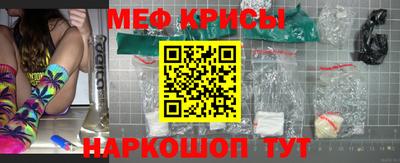 гашик Кингисепп