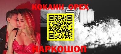 гашик Кингисепп