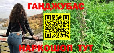 гашик Кингисепп