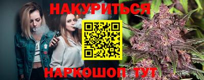 гашик Кингисепп