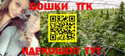 гашик Кинель