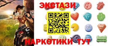 гашик Кингисепп