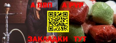 гашик Кингисепп