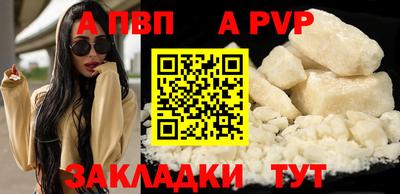 гашик Кингисепп