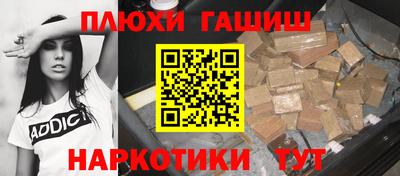 гашик Кингисепп