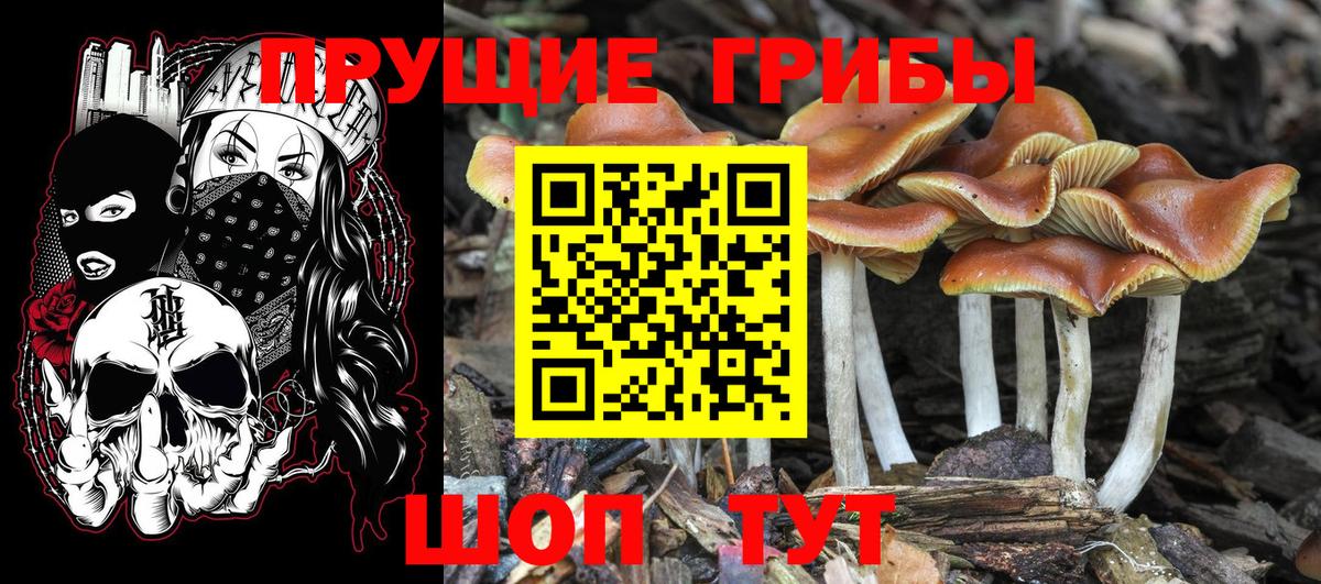 Псилоцибиновые грибы Magic Shrooms Конаково