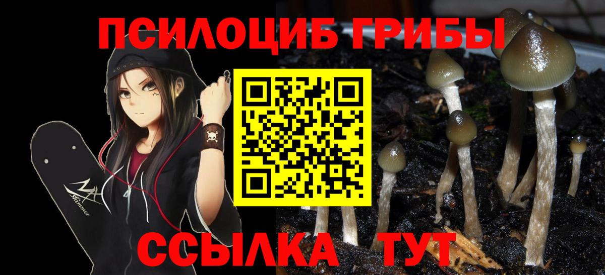 Конаково  Галлюциногенные грибы мицелий  Вход с VPN 